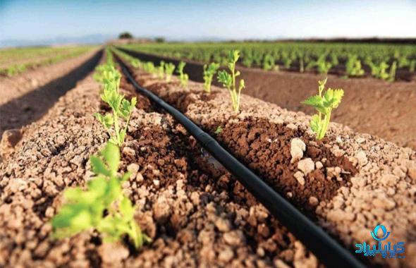 توجه به طول نوار تیپ برای استفاده در مزرعه