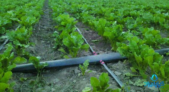 قیمت نوار تیپ ارزان در بازار داخلی