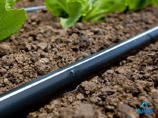 خرید ارزان  نوار تیپ گوجه فرنگی با بهترین کیفیت